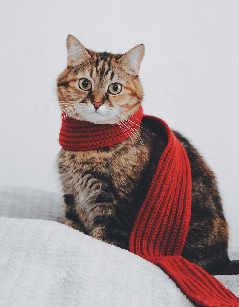 Mystical Scarf